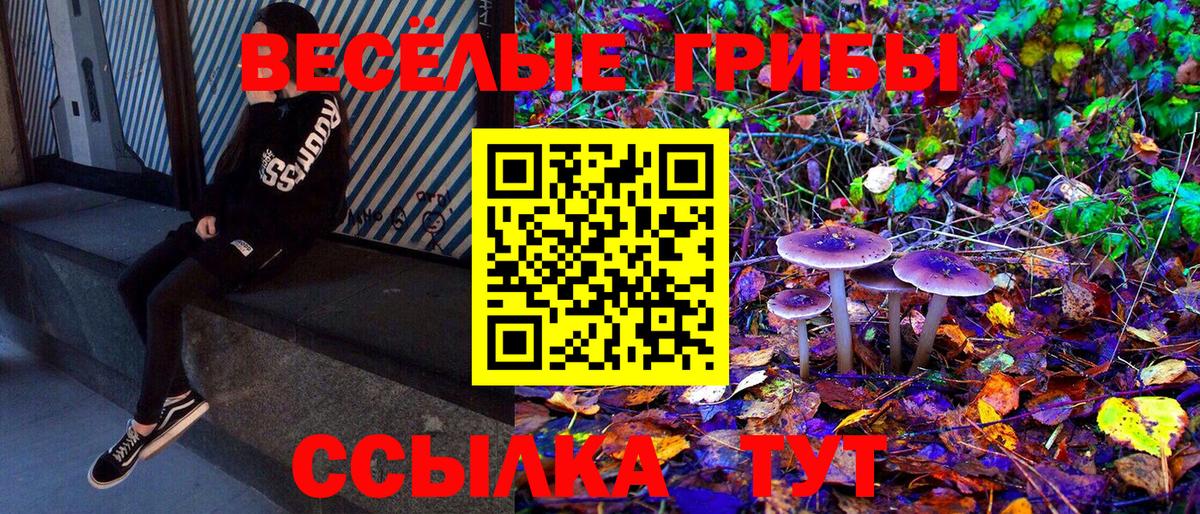 Галлюциногенные грибы ЛСД Тайшет