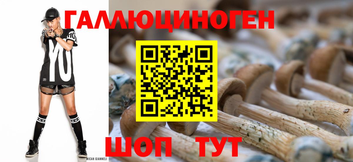 Тайшет  Псилоцибиновые грибы MAGIC MUSHROOMS  Вход с VPN  Псилоцибиновые грибы Magic Shrooms 